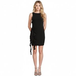 NWT The Fashion Poet Black Ruffle Sheath Mini Dress